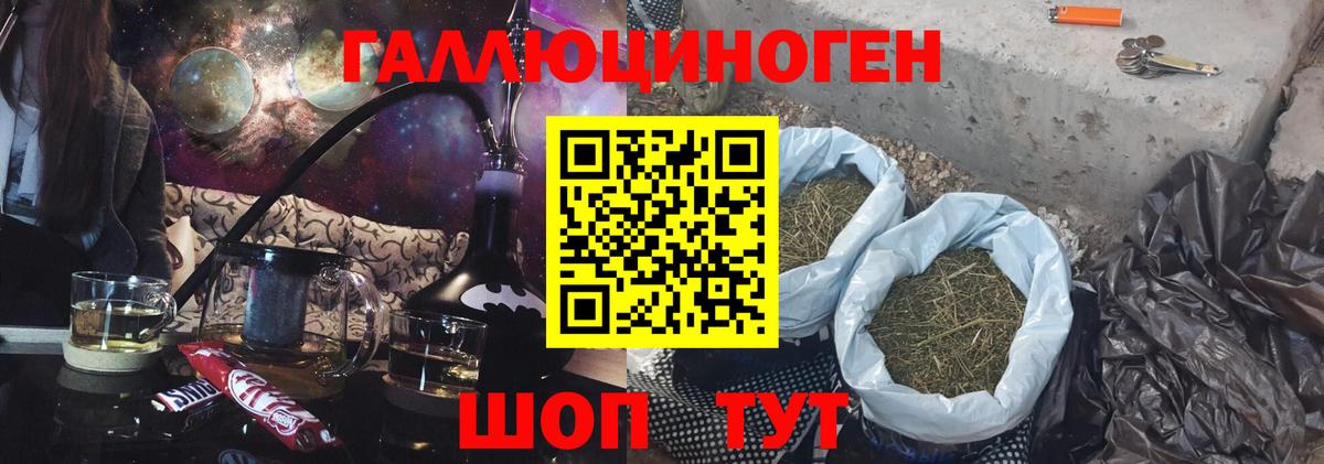 Псилоцибиновые грибы Psilocybe Артёмовский