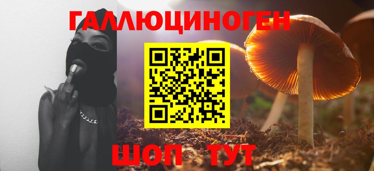 Псилоцибиновые грибы ЛСД  Вход с VPN  Артёмовский  Галлюциногенные грибы ЛСД 